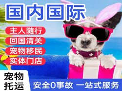 龙湾航空邮寄国际宠物托运 【国